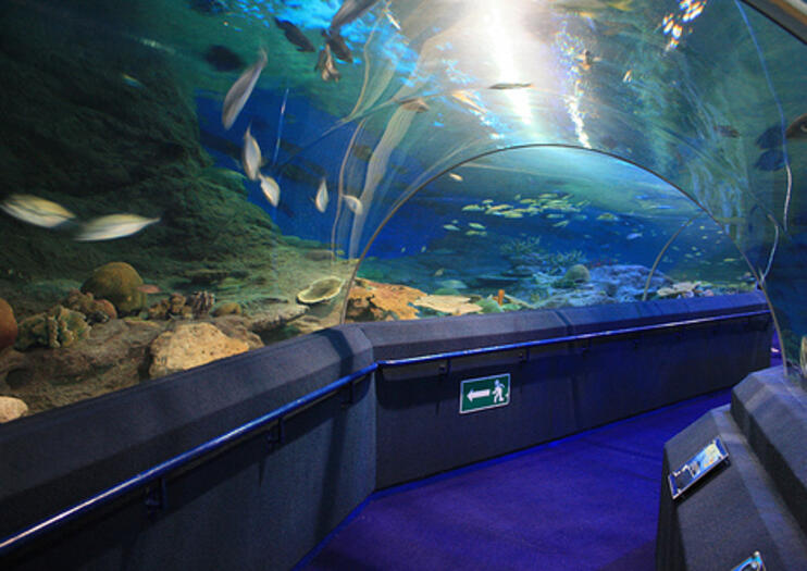 Underwater World Pattaya